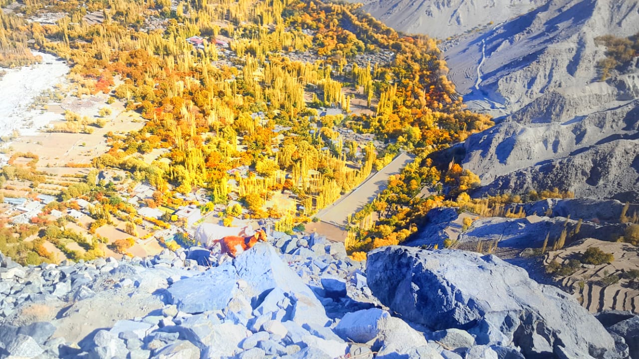 Golden Leaves in Mountains – Stunning autumn colors in a rocky landscape
