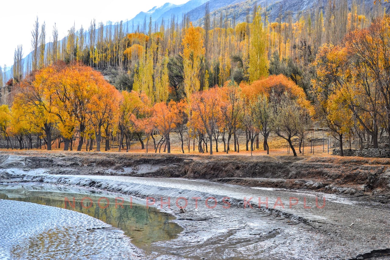 Serene River View – River flowing through a picturesque valley in autumn