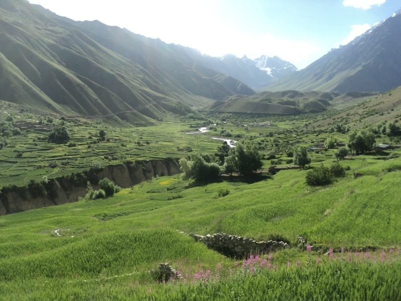 Green terraced fields with scattered small houses nestled in a picturesque valley.