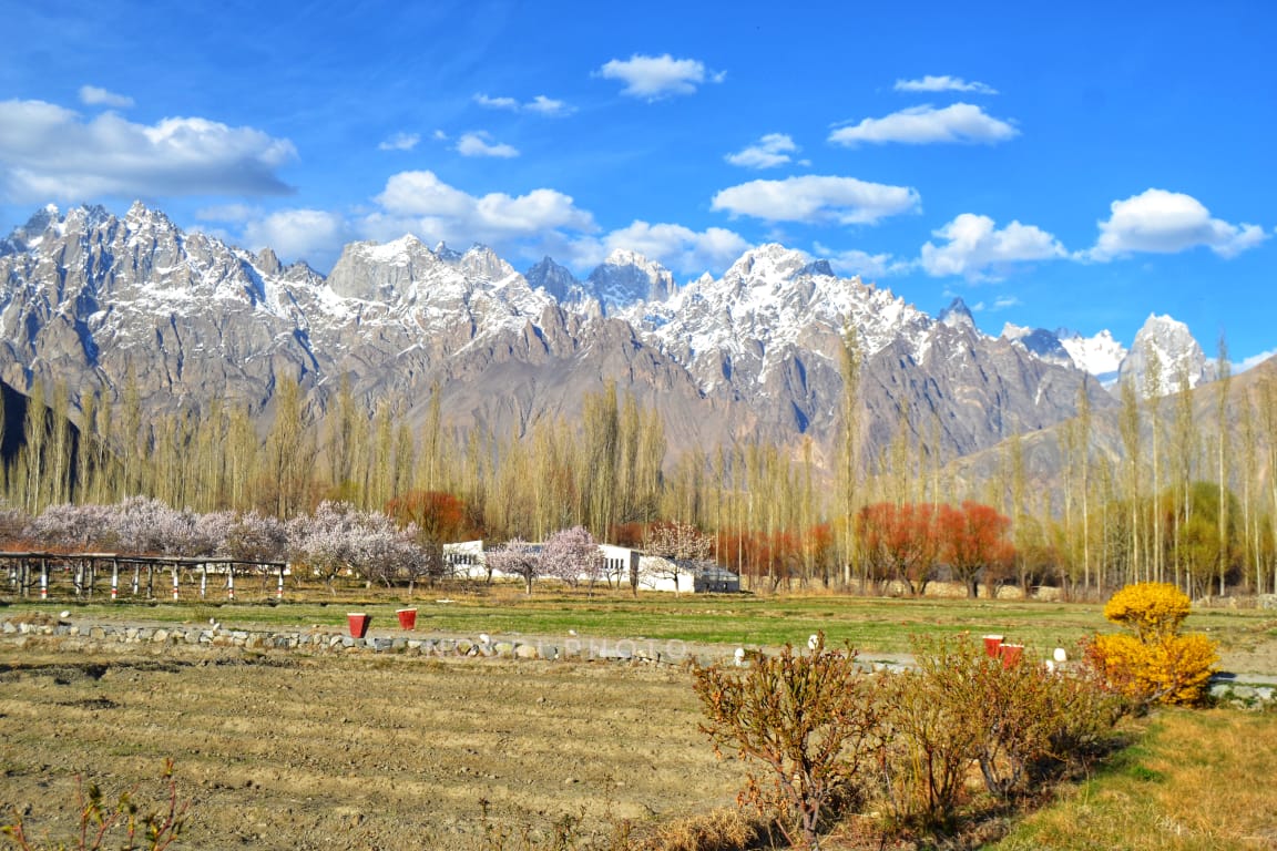 A scenic view of a lush valley with blooming trees and towering mountains